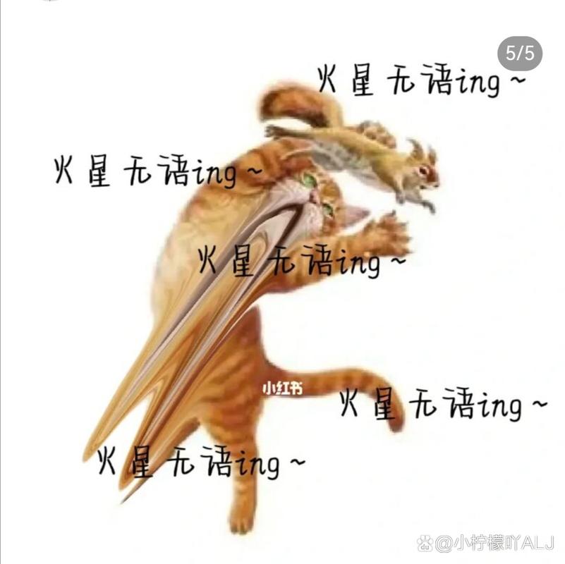 火星语名言究竟藏着怎样的秘密？-图3