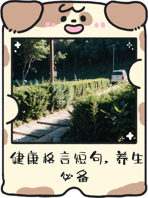 健康名言谚语,藏着哪些长寿智慧?-图2 健康名言谚语,藏着哪些长寿智慧?-图2