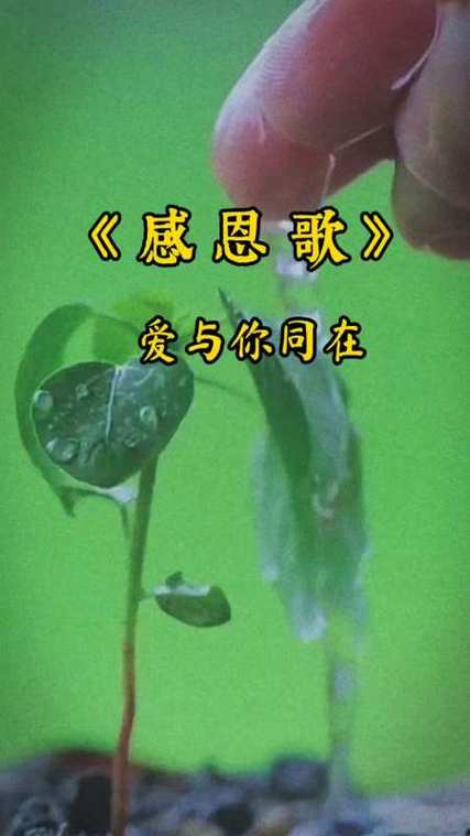 诗歌恩，是恩赐还是枷锁？-图3