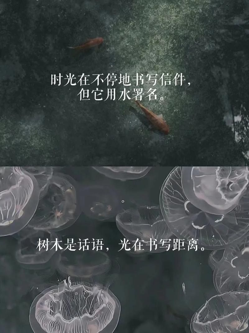 孤独的英语名言-图2