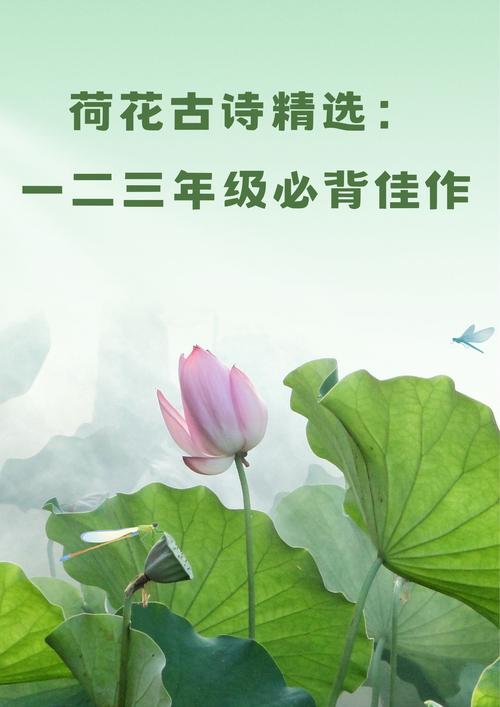 荷花入诗,几多清魂醉?-图1 荷花入诗,几多清魂醉?-图1