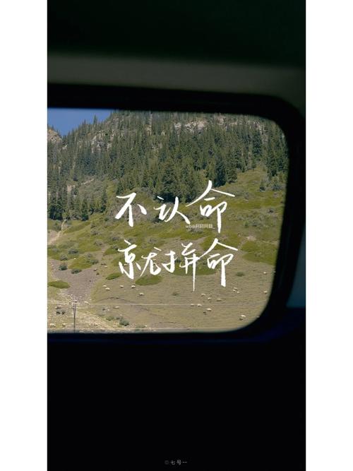 不认命的名言，如何改变命运轨迹？-图1