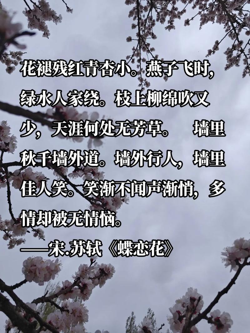 野花绽放,是孤独的风景还是自由的诗行?-图2 野花绽放,是孤独的风景还是自由的诗行?-图2