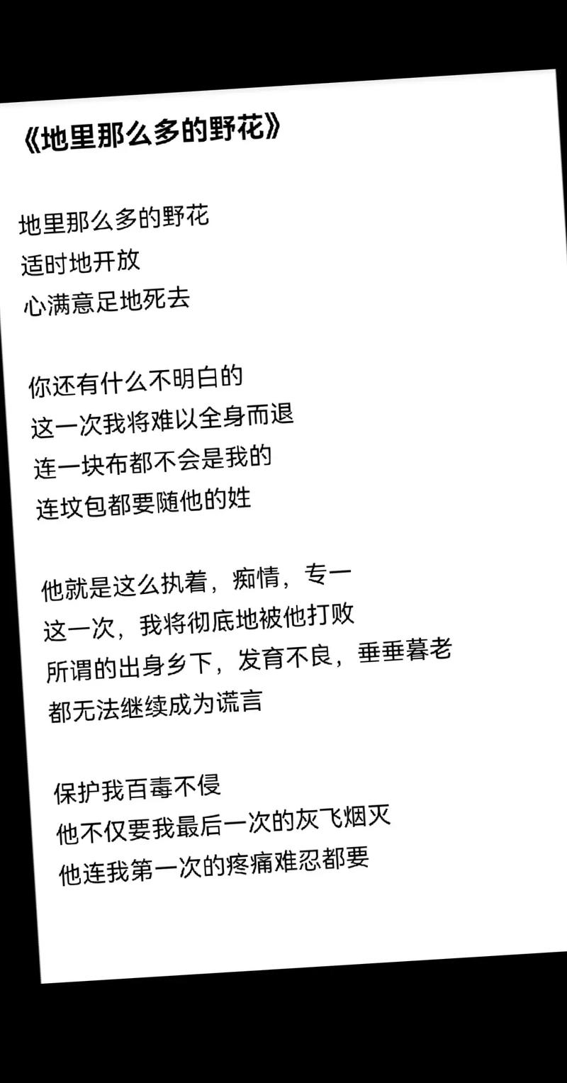 野花绽放,是孤独的风景还是自由的诗行?-图1 野花绽放,是孤独的风景还是自由的诗行?-图1