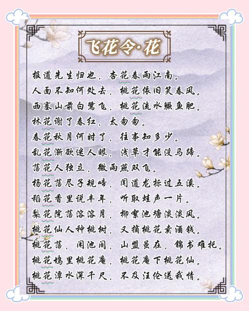 野花绽放,是孤独的风景还是自由的诗行?-图3 野花绽放,是孤独的风景还是自由的诗行?-图3