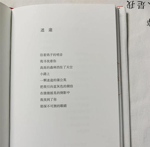 诗歌的序为何存在？-图2