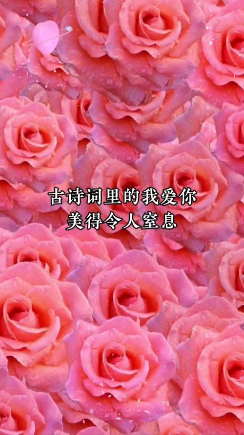 诗歌为何能承载我爱你的深情?-图2 诗歌为何能承载我爱你的深情?-图2