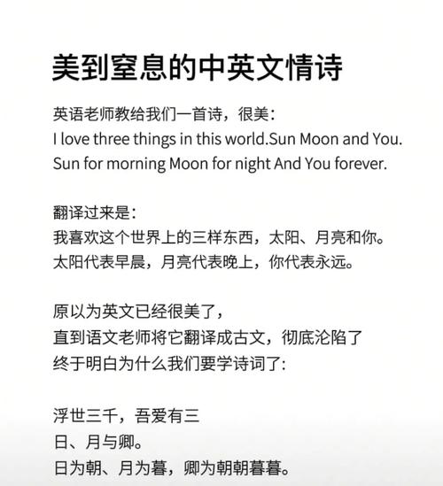 外国诗歌经典英文，为何跨越时空仍动人？-图2