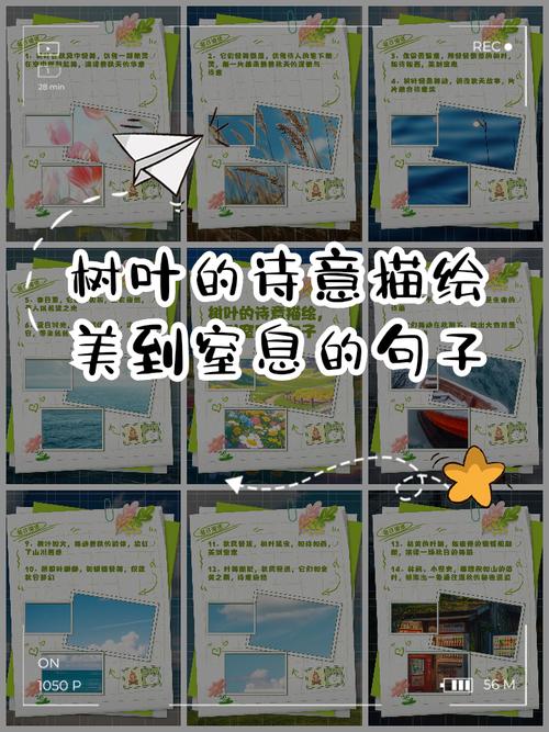 叶子名言藏着怎样的生命智慧?-图2 叶子名言藏着怎样的生命智慧?-图2