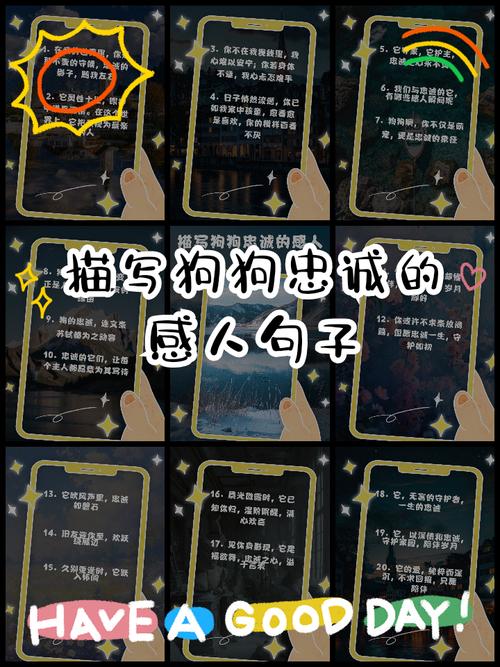 何为忠实的名言？其核心内涵是什么？-图3