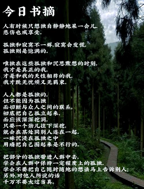 孤独名言诗句，如何道尽人心深处的孤寂？-图2