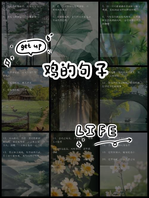 母鸡名言有何深意?-图1 母鸡名言有何深意?-图1