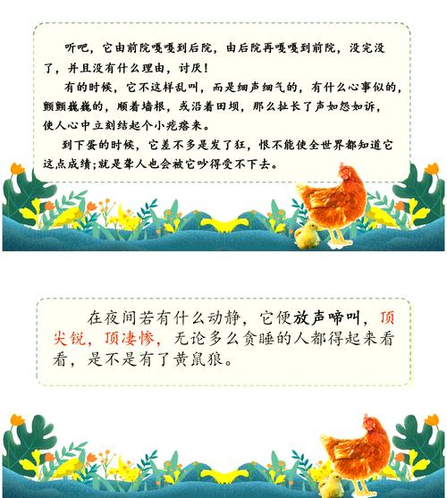 母鸡名言有何深意？-图2