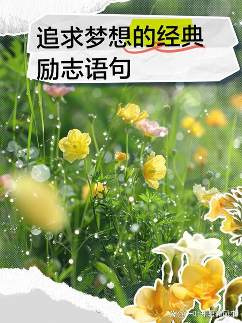 名言追求的尽头,是智慧还是枷锁?-图2 名言追求的尽头,是智慧还是枷锁?-图2