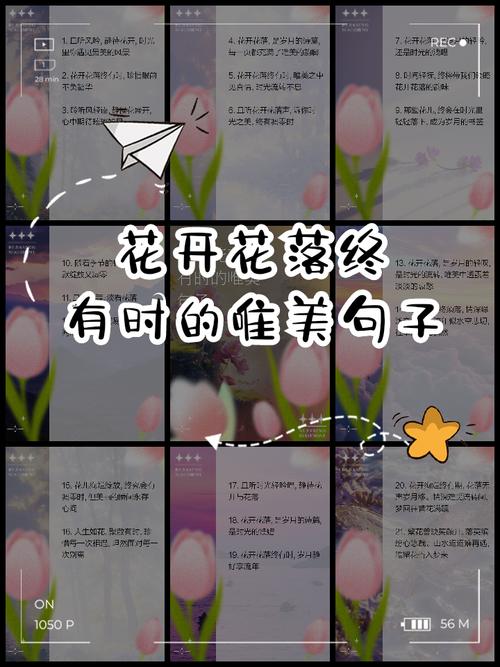 又开花名言蕴含何种深意?-图1 又开花名言蕴含何种深意?-图1