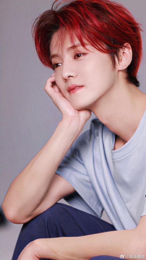 名人名言鹿晗-图1