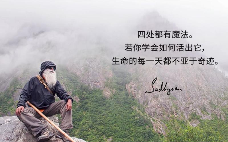 萨古鲁名言-图2