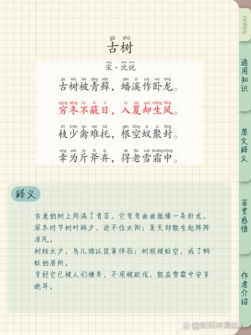 榕树 诗歌-图3 榕树 诗歌-图3