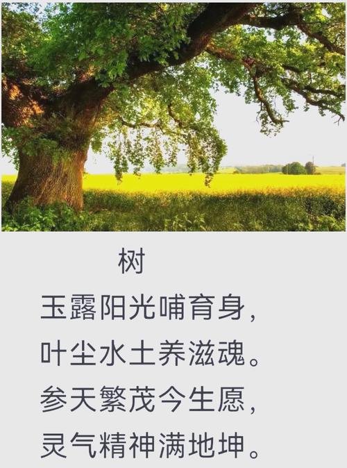 榕树 诗歌-图2 榕树 诗歌-图2
