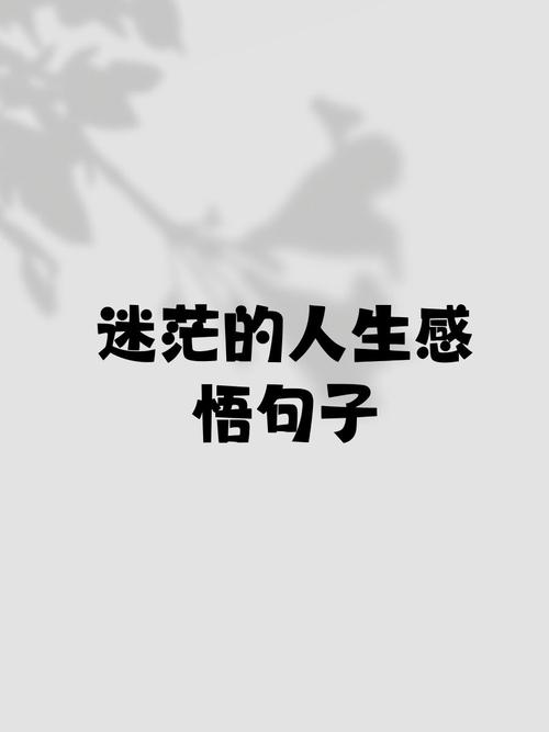 关于迷路的名言-图1 关于迷路的名言-图1