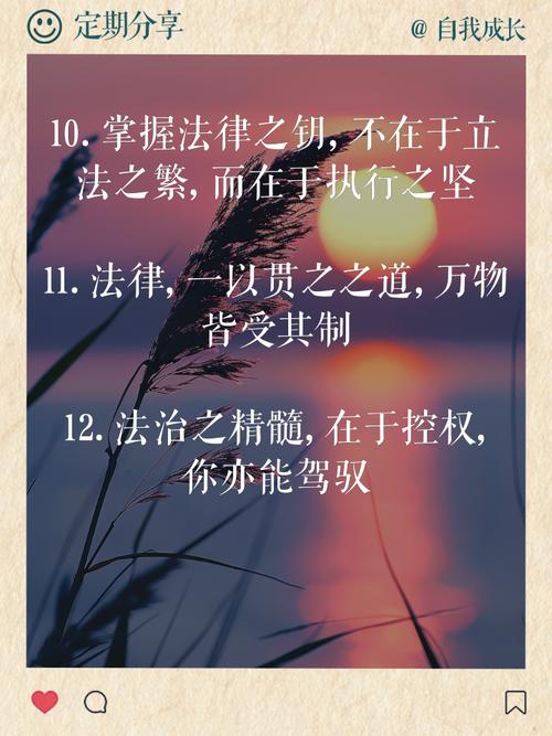 情理与法理，如何平衡？-图1