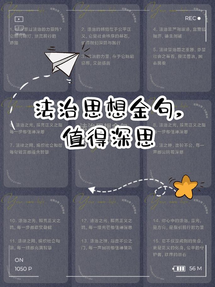 情理与法理，如何平衡？-图2