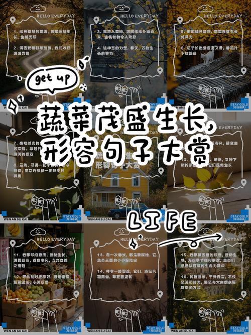 种菜的名言,种菜的名言警句-图1 种菜的名言,种菜的名言警句-图1