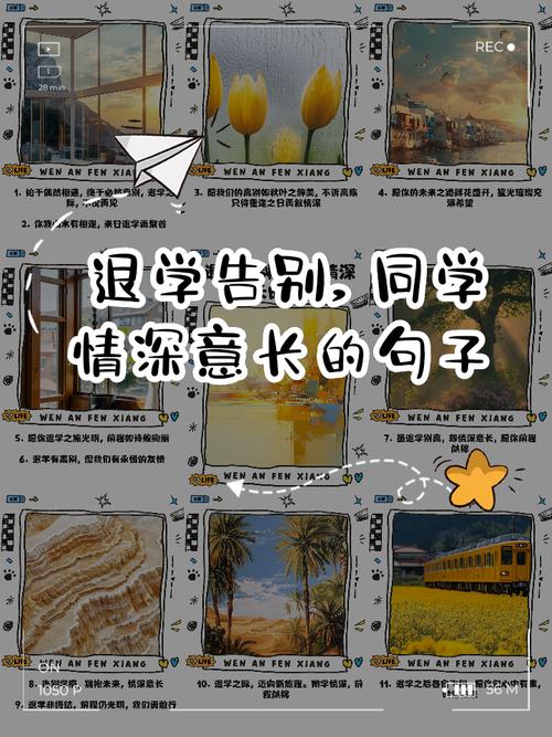 告别同学的诗歌，告别同学的语言-图2