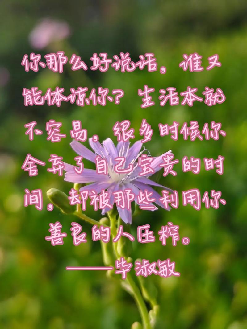 关于好好说话的名言，关于好好说话的名言名句-图3