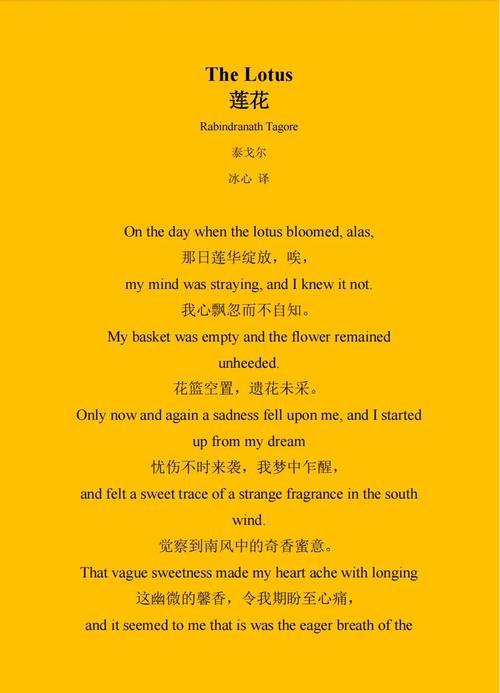 现代诗如何赞美荷花的新意境？-图1