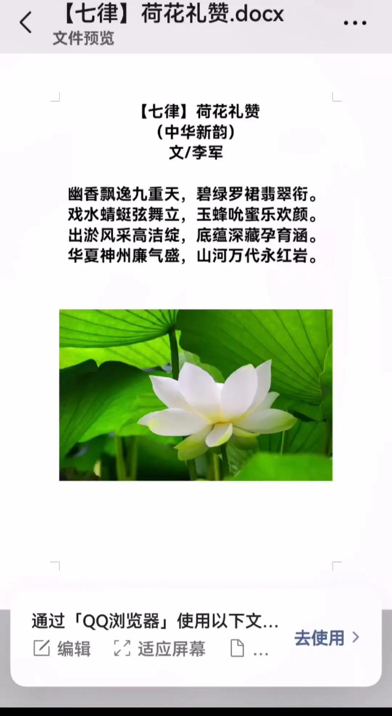 现代诗如何赞美荷花的新意境？-图3