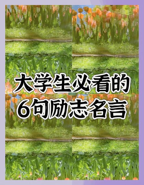 大学励志名言,大学励志名言短句霸气-图1 大学励志名言,大学励志名言短句霸气-图1