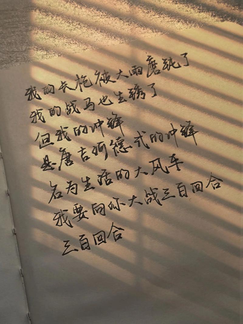 堂吉诃德诗歌，堂吉诃德的诗歌-图3