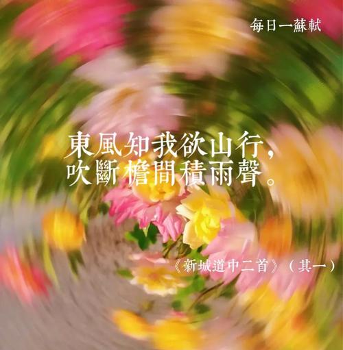 马兰诗歌 吹拂，马兰山野吹来的风-图2