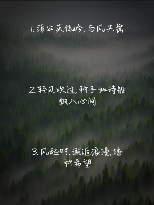 诗歌蒲公英,诗歌蒲公英的梦-图3 诗歌蒲公英,诗歌蒲公英的梦-图3