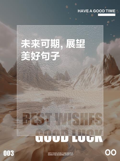 关于未来的名言警句，关于未来的名言警句好词佳句-图1