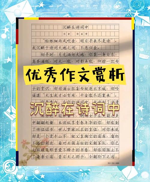 对诗歌的鉴赏作文，对诗歌的鉴赏作文800字-图2
