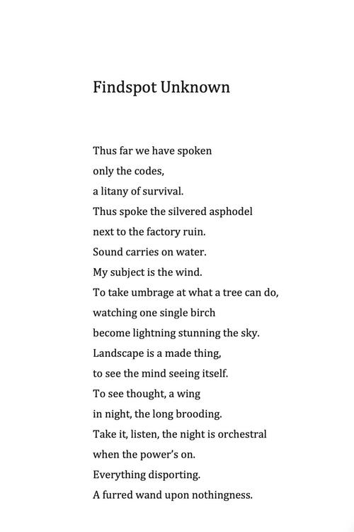 姐姐诗歌,姐姐诗歌奖-图2 姐姐诗歌,姐姐诗歌奖-图2