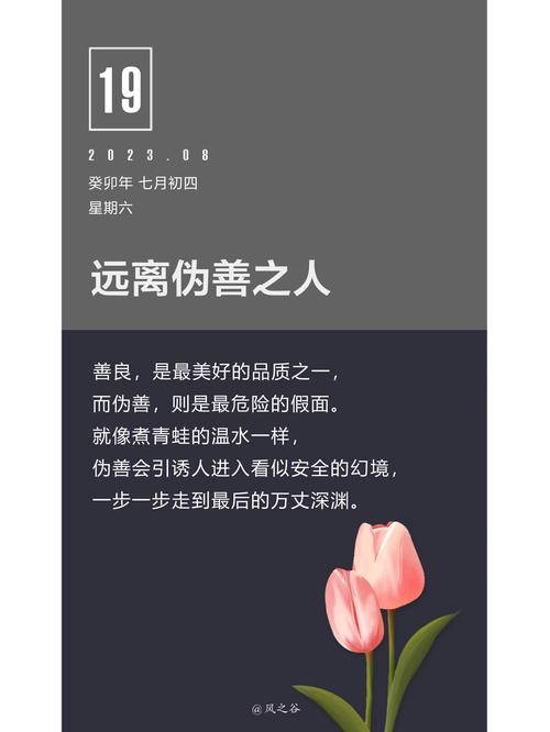 孤立人的名言，孤立人的名言有哪些-图3