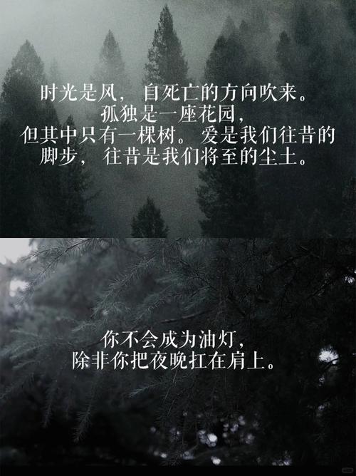 威尼斯 诗歌,威尼斯原文-图3 威尼斯 诗歌,威尼斯原文-图3