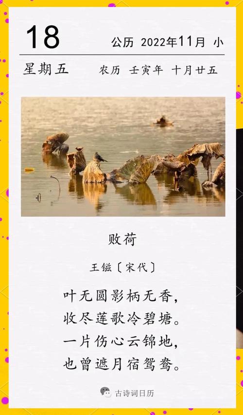 荷花在现代诗中,如何褪去古典的衣裳?-图3 荷花在现代诗中,如何褪去古典的衣裳?-图3