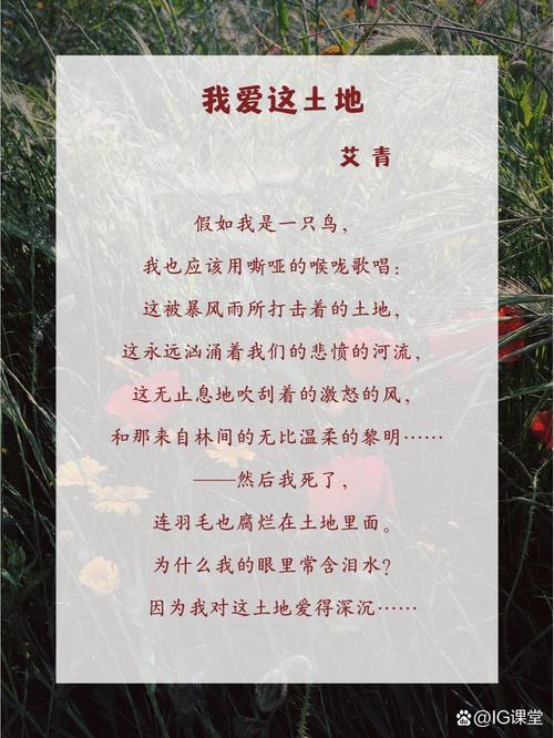 艾青名言大全-图1