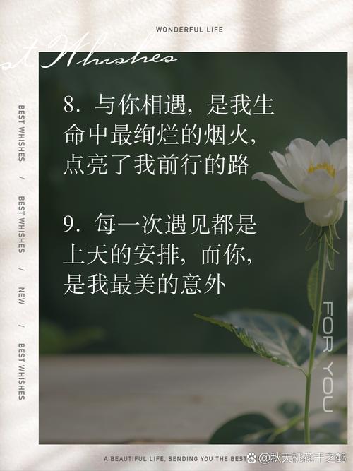 遇见名言，遇见名言名句-图1