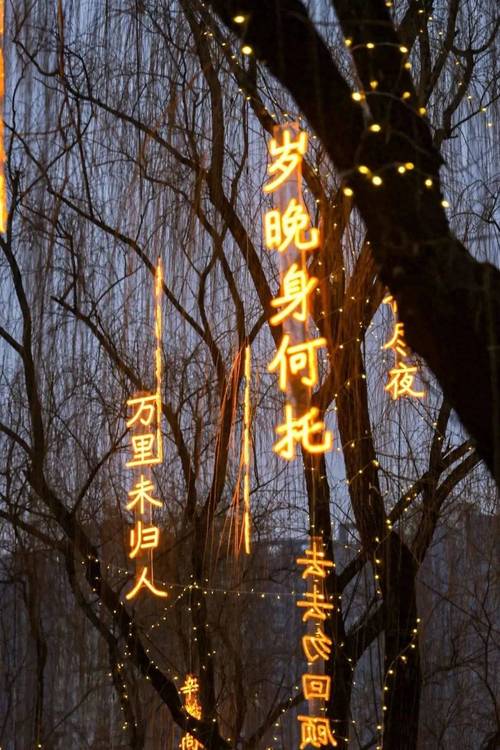 光影诗歌，光影诗歌押韵-图2