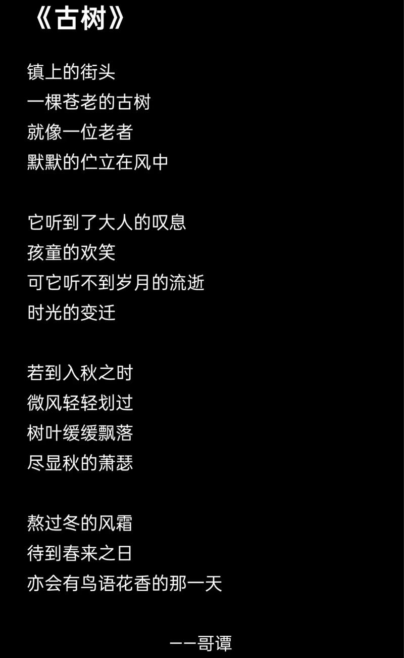 诗歌究竟为何物？-图1