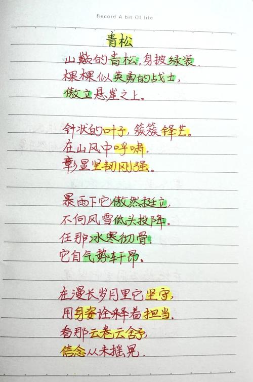 仿诗歌白桦-图1 仿诗歌白桦-图1