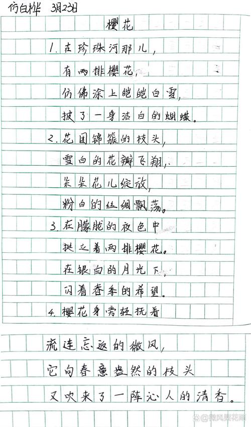 仿诗歌白桦-图3 仿诗歌白桦-图3