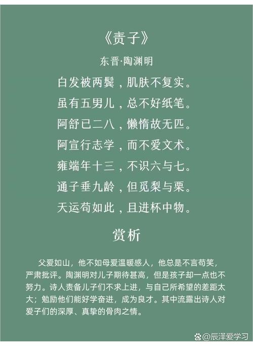 诗歌如何承载深沉父爱?-图3 诗歌如何承载深沉父爱?-图3