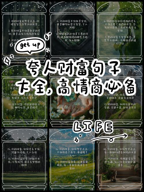 土豪名言为何能成流行语?-图1 土豪名言为何能成流行语?-图1