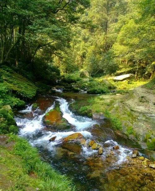 美丽的绿色校园诗歌，美丽的绿色校园诗歌朗诵-图2